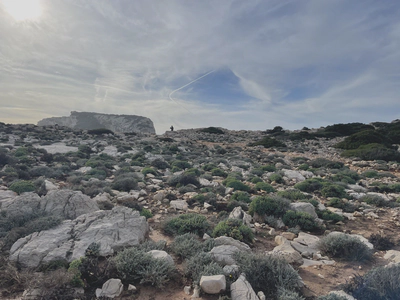 *Chamaephytic landscape in Porto Conte National Park*
