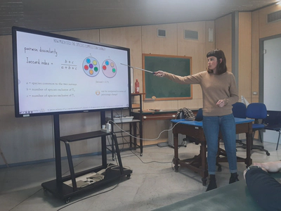 *Invited seminar at the University of Sassari*