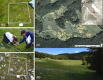 Competitive dominance mediates the effects of topography on plant richness in a mountain grassland