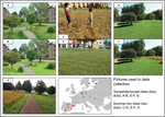 Acceptance of near-natural greenspace management relates to ecological and socio-cultural assigned values among European urbanites