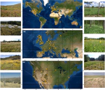 LOTVS: A global collection of permanent vegetation plots